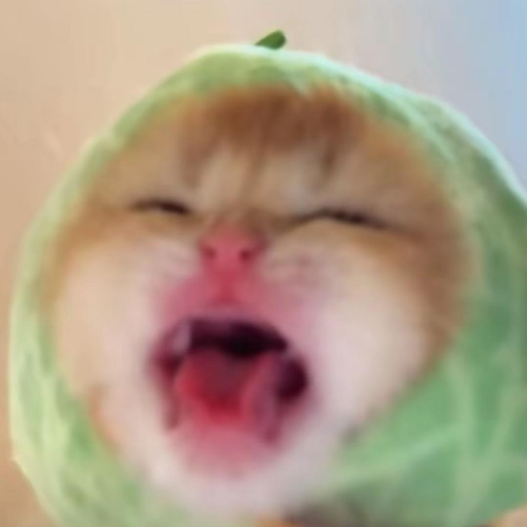 懒虫Xin.