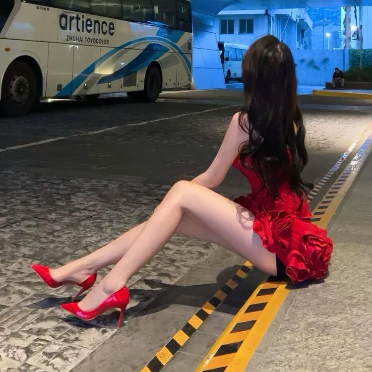 现实小猫