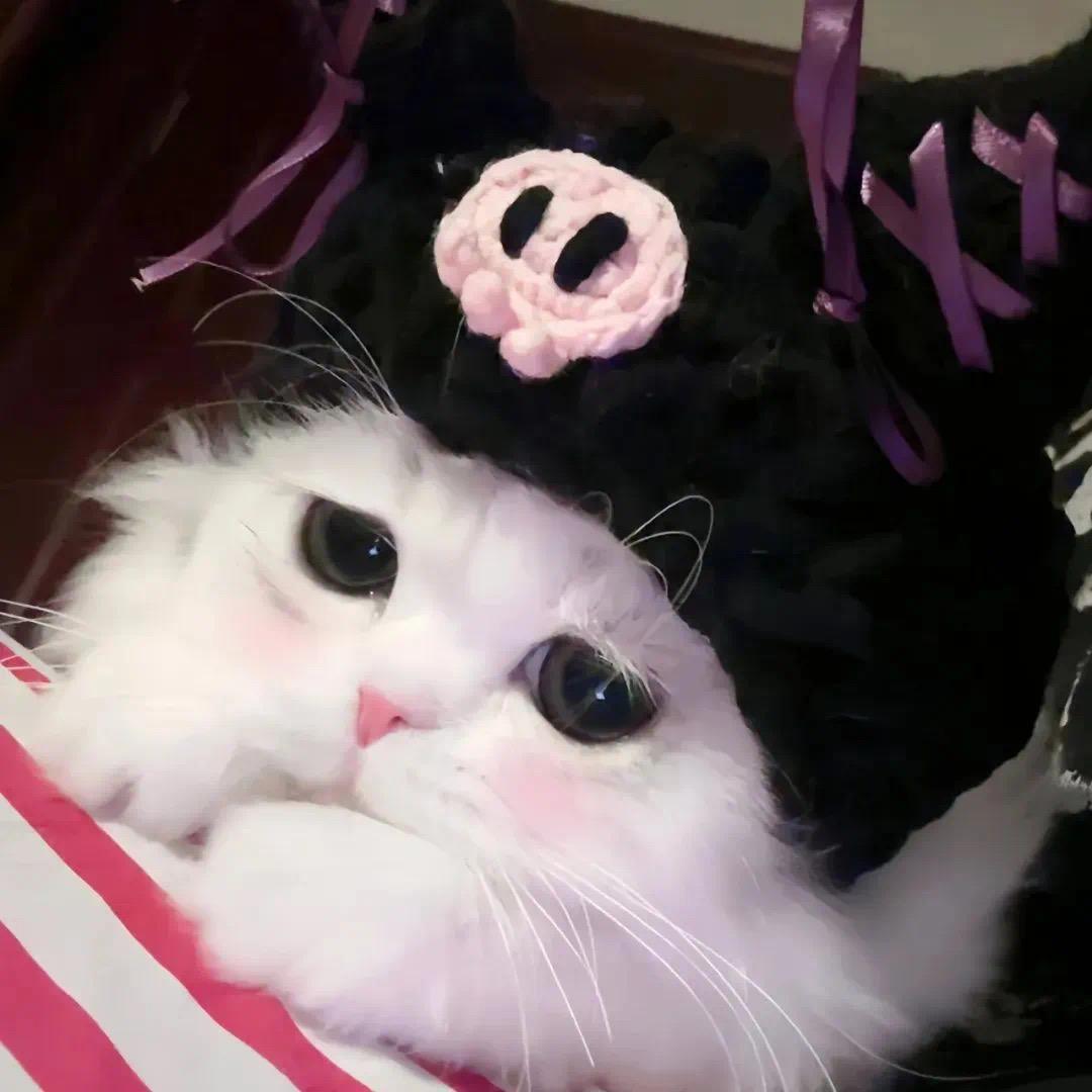 小乖ᶻ 𝗓 𐰁ฅ