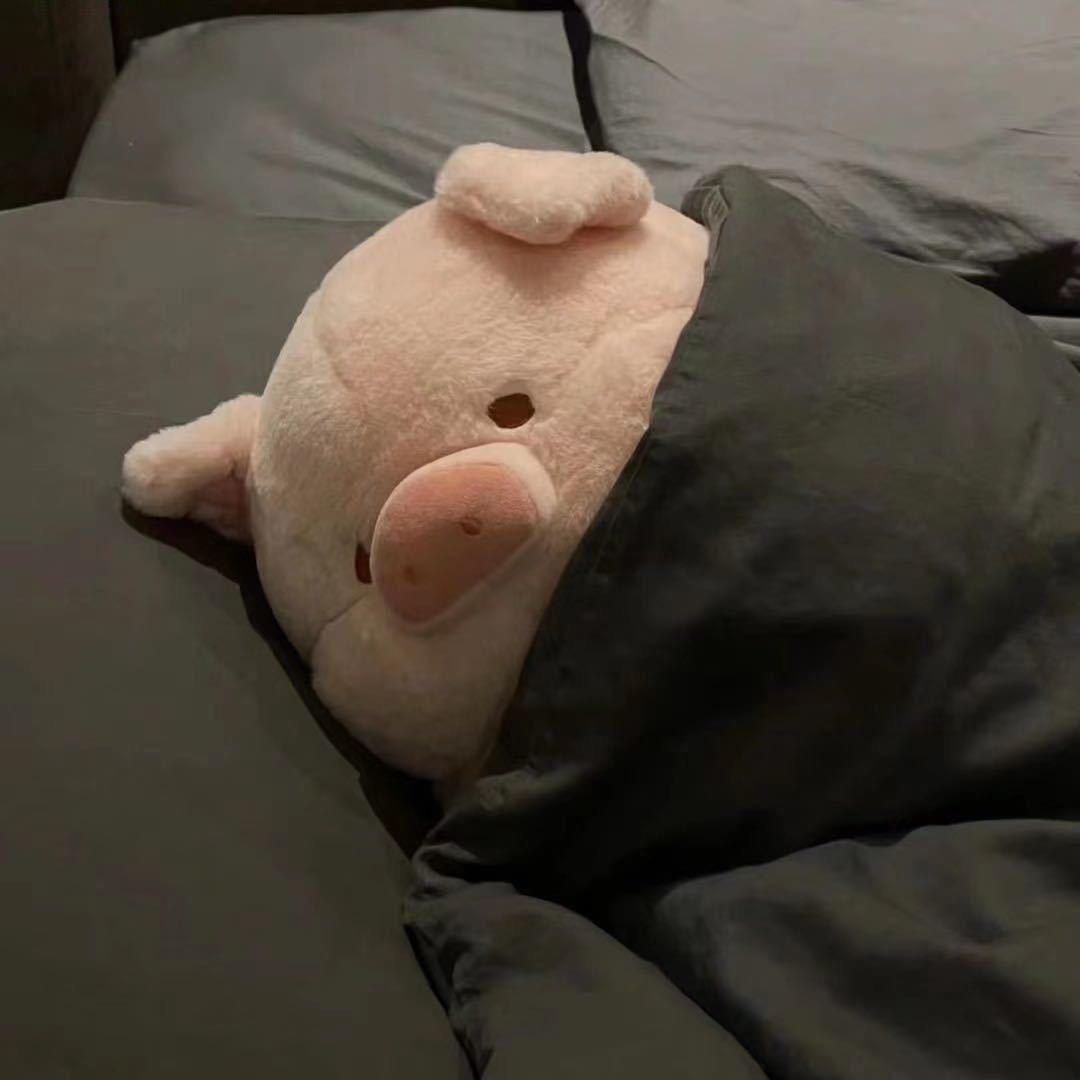 贝贝买不起Targa