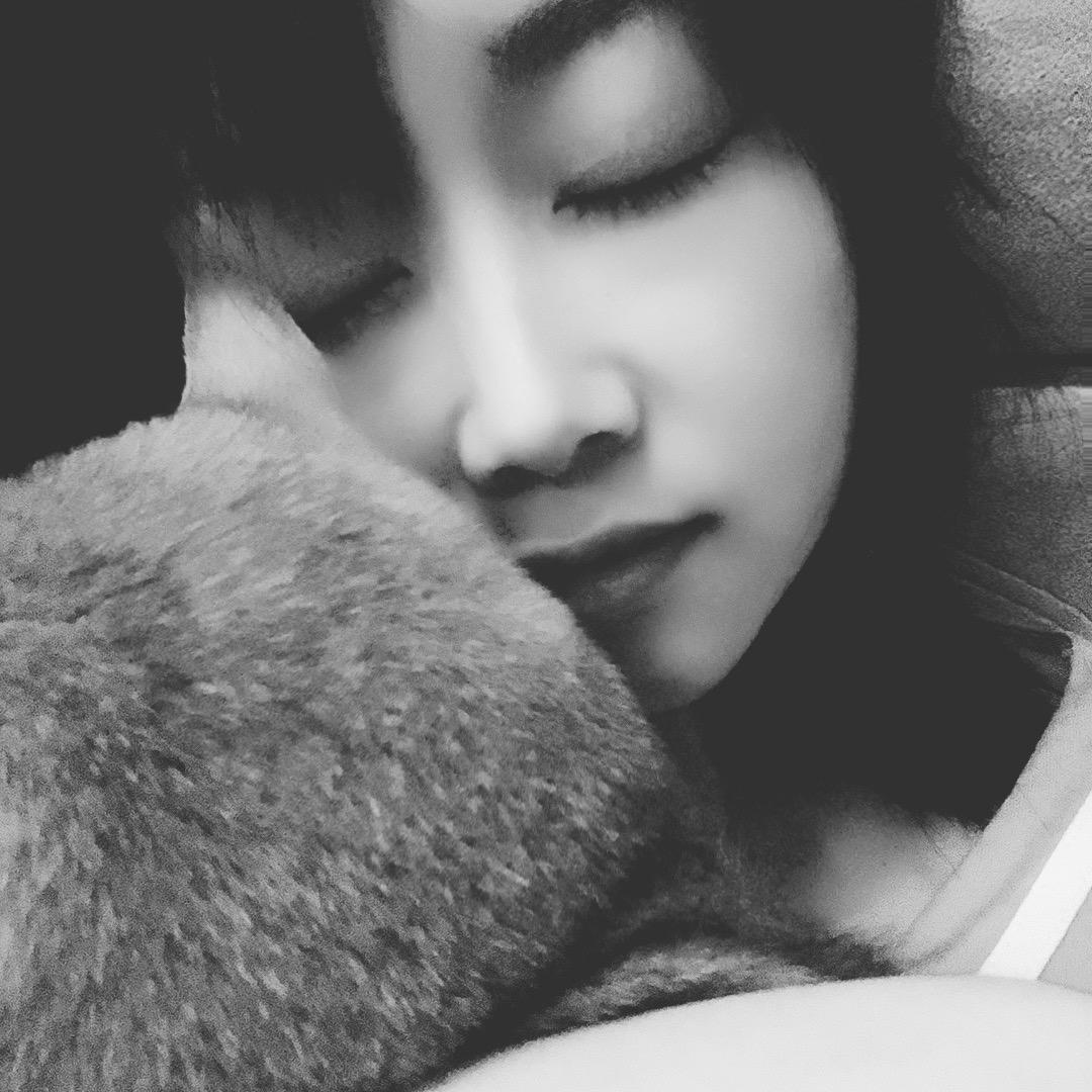 Y  .   晶晶