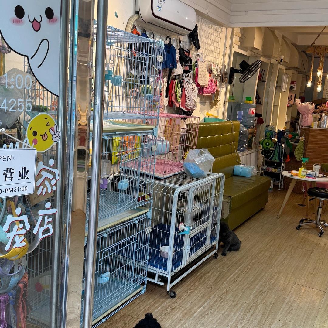 辽阳遇见宠物小号