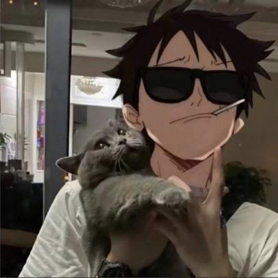 小林iieo