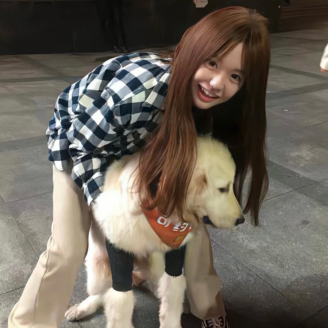 羊小Y