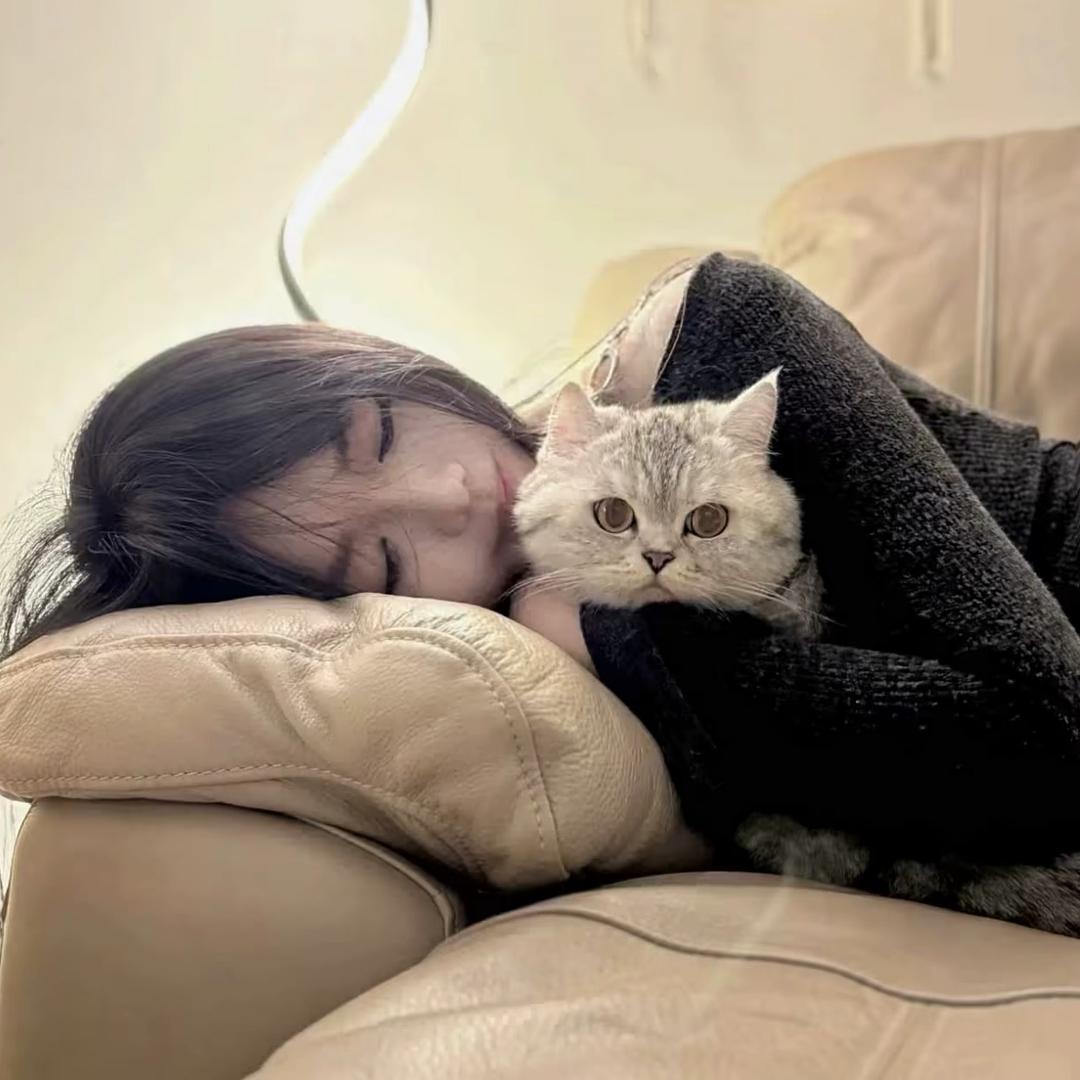媄蒂