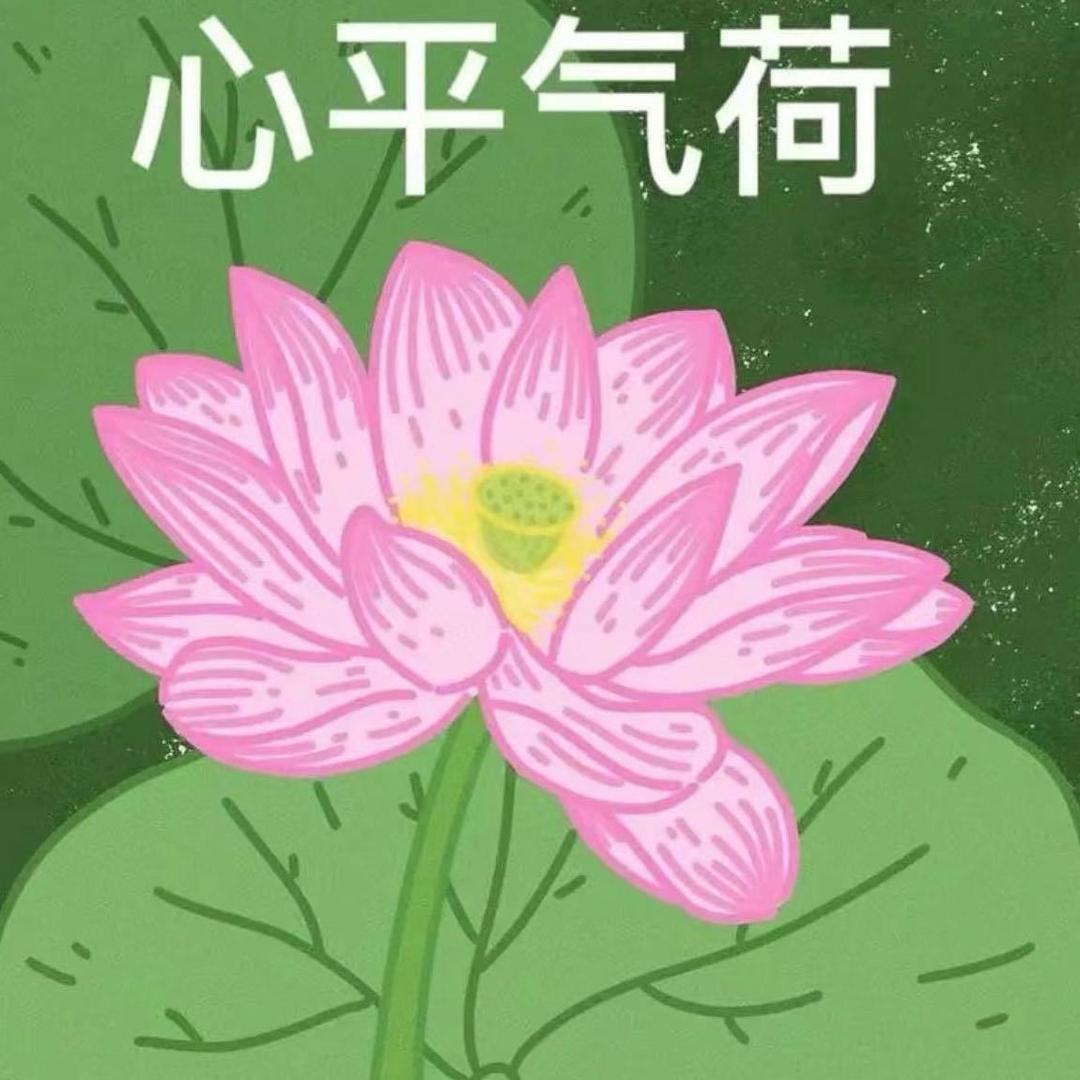 小袁啊、