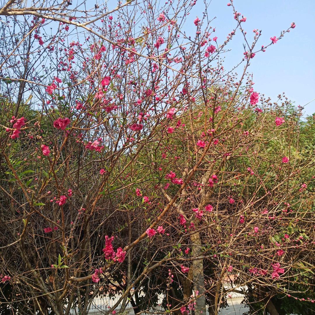 晓燕