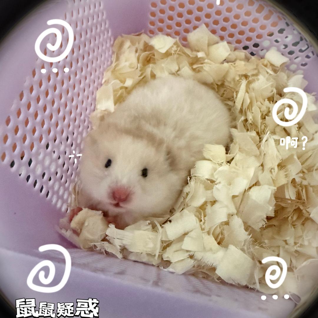 奶油小酒