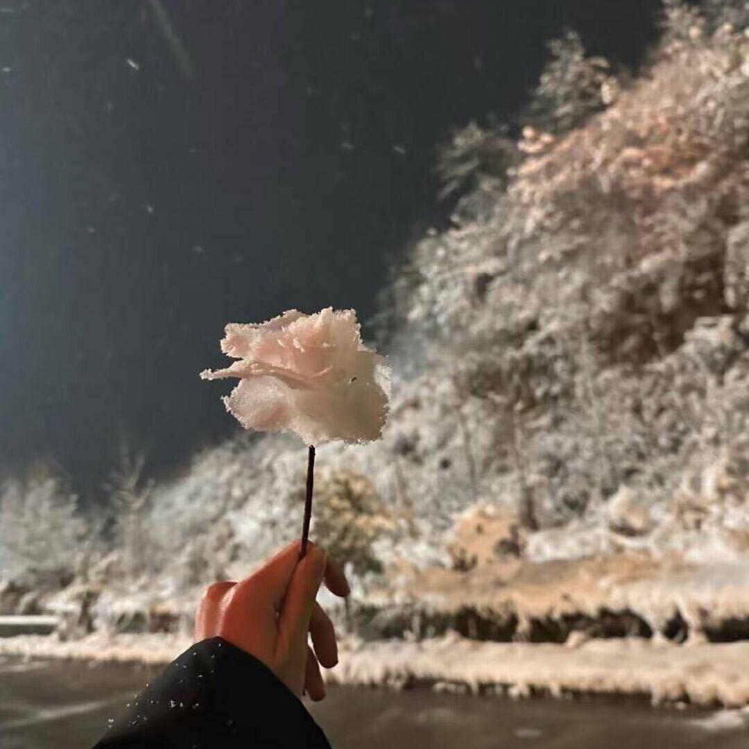 烟花呢