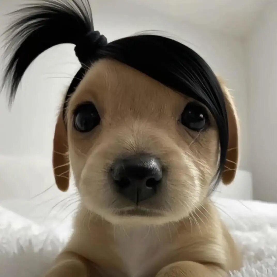 卡卡..