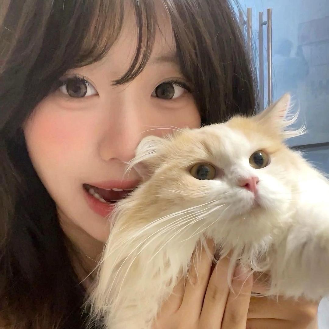 板烧鸡腿堡