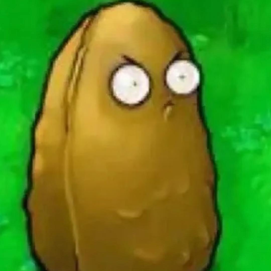 rrrrrrr.