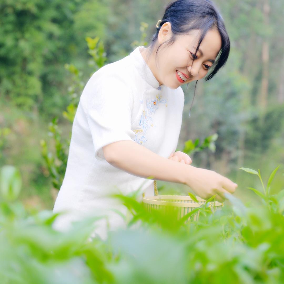 茗犍香茶业｜余萍