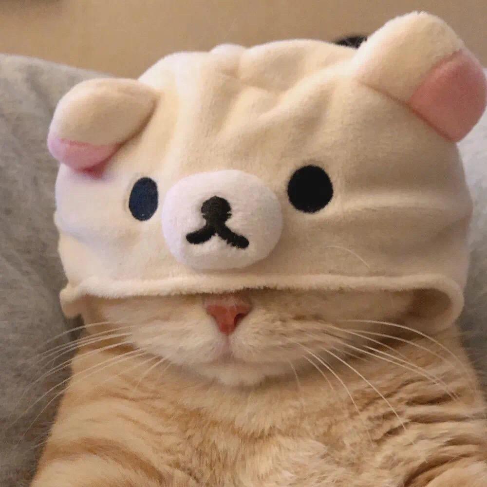 云云严选