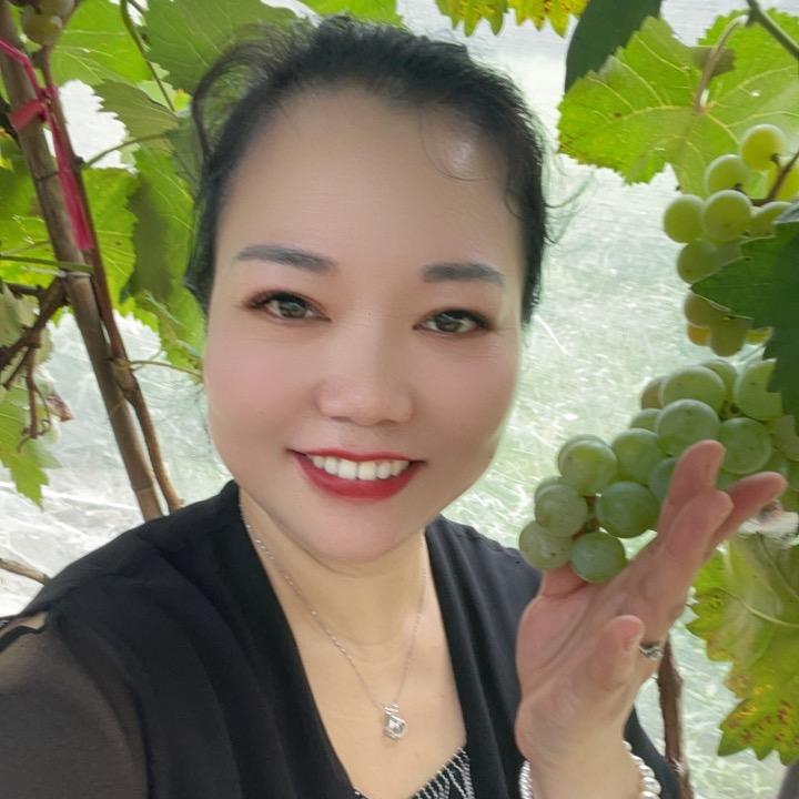 雨中蔷薇