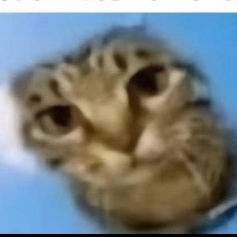 卓林越