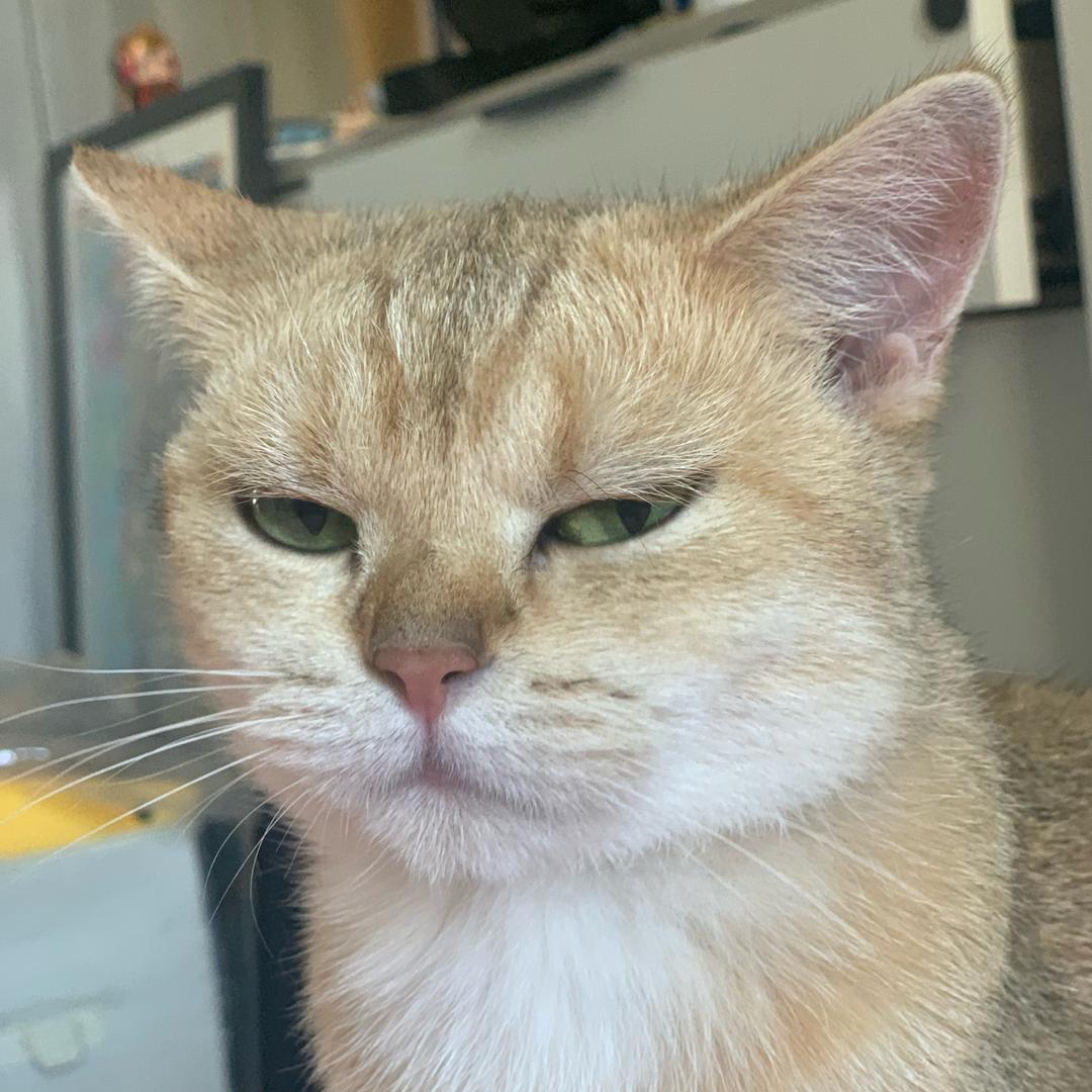 饭中之饭（减肥版