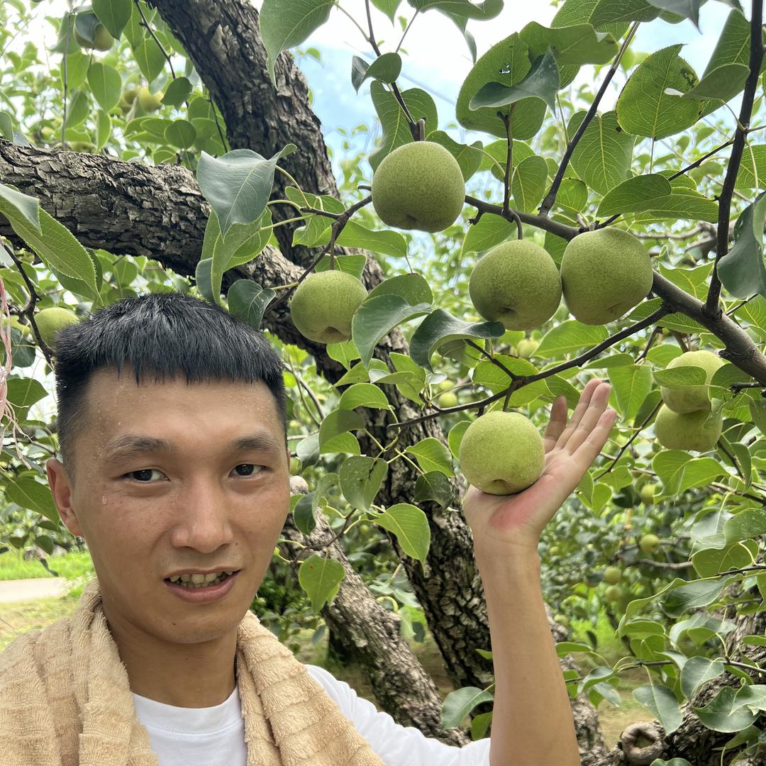 嗨果生鲜总部