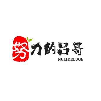 努力的吕哥