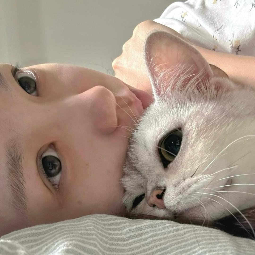 苏苏.