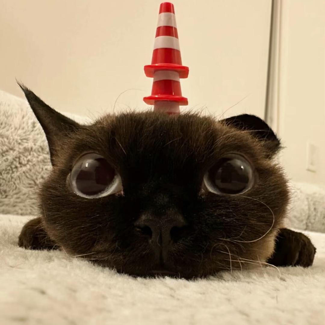 少亿点心柿！