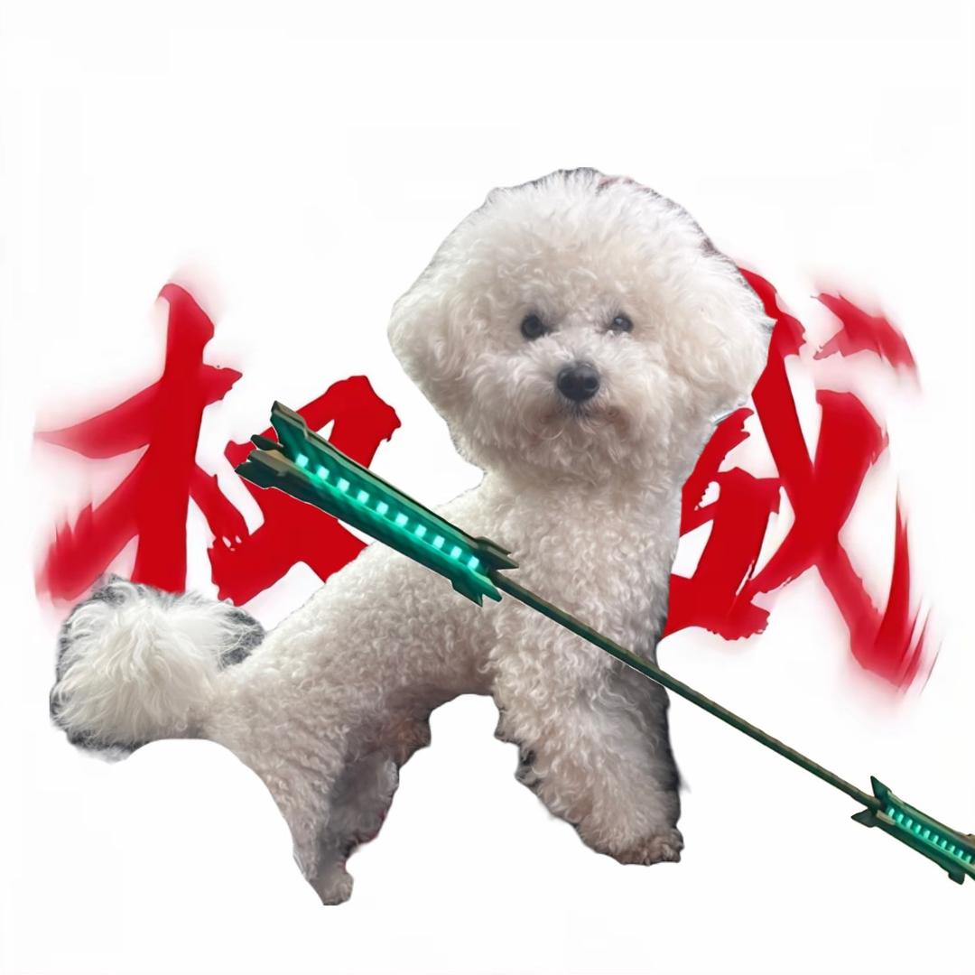 六六是只狗🐶