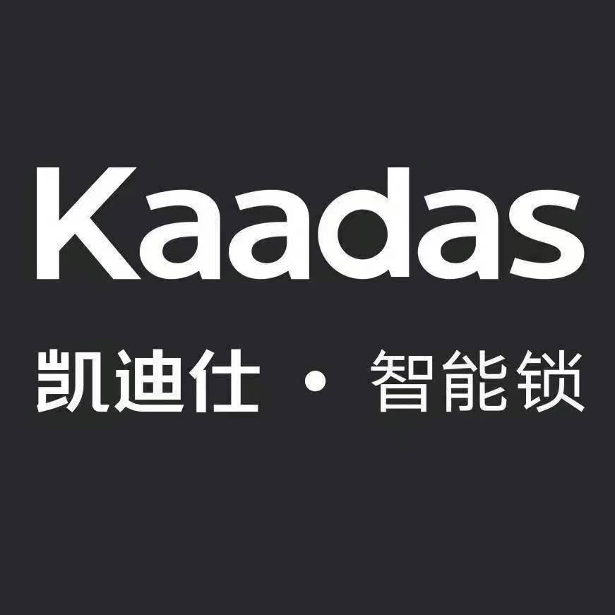 大连凯迪仕