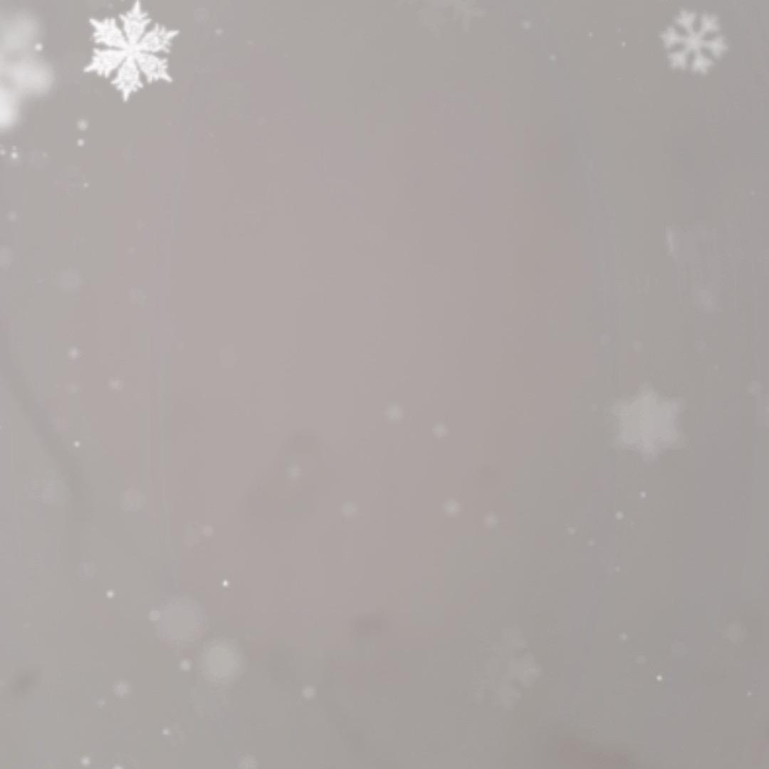 豪哥