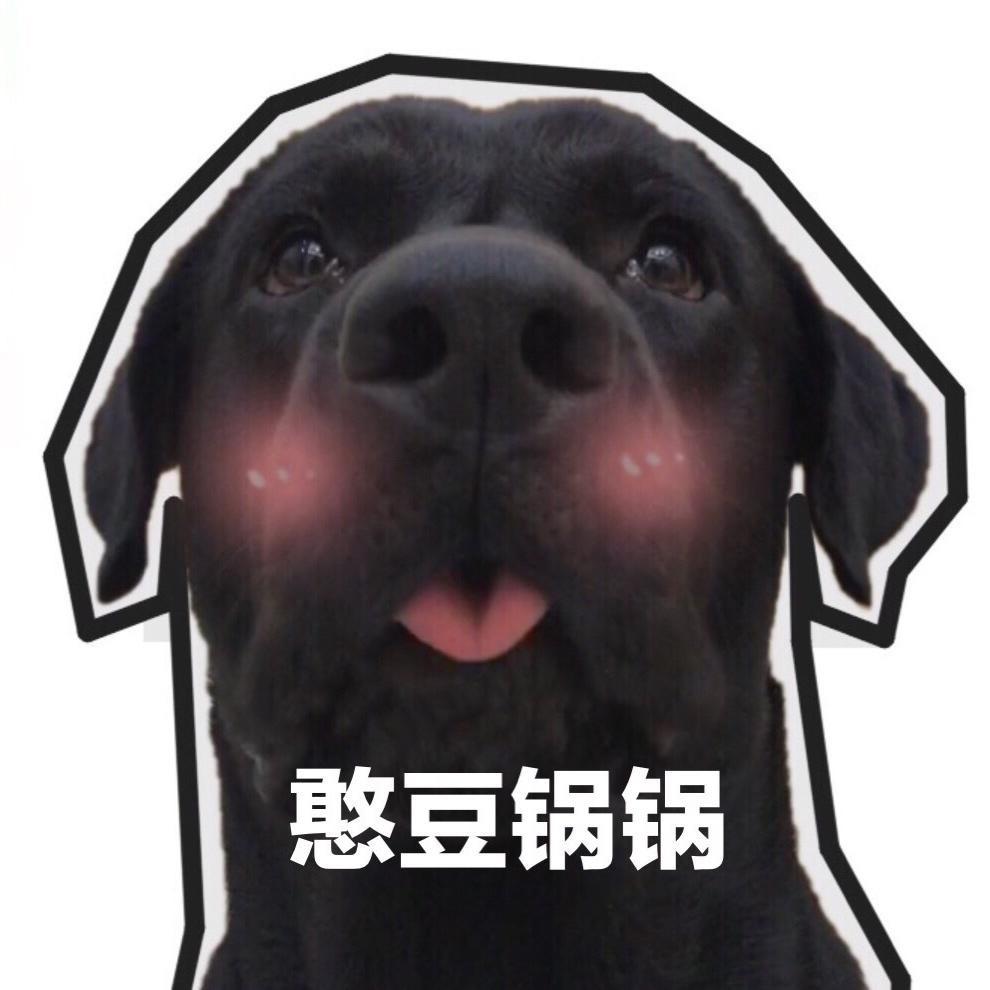 家有憨帅