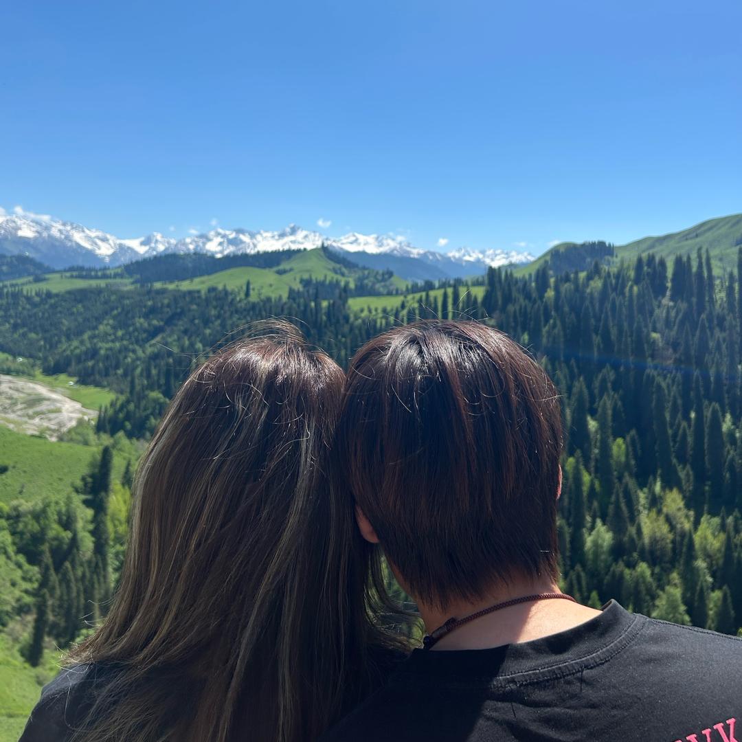 D和F的旅行