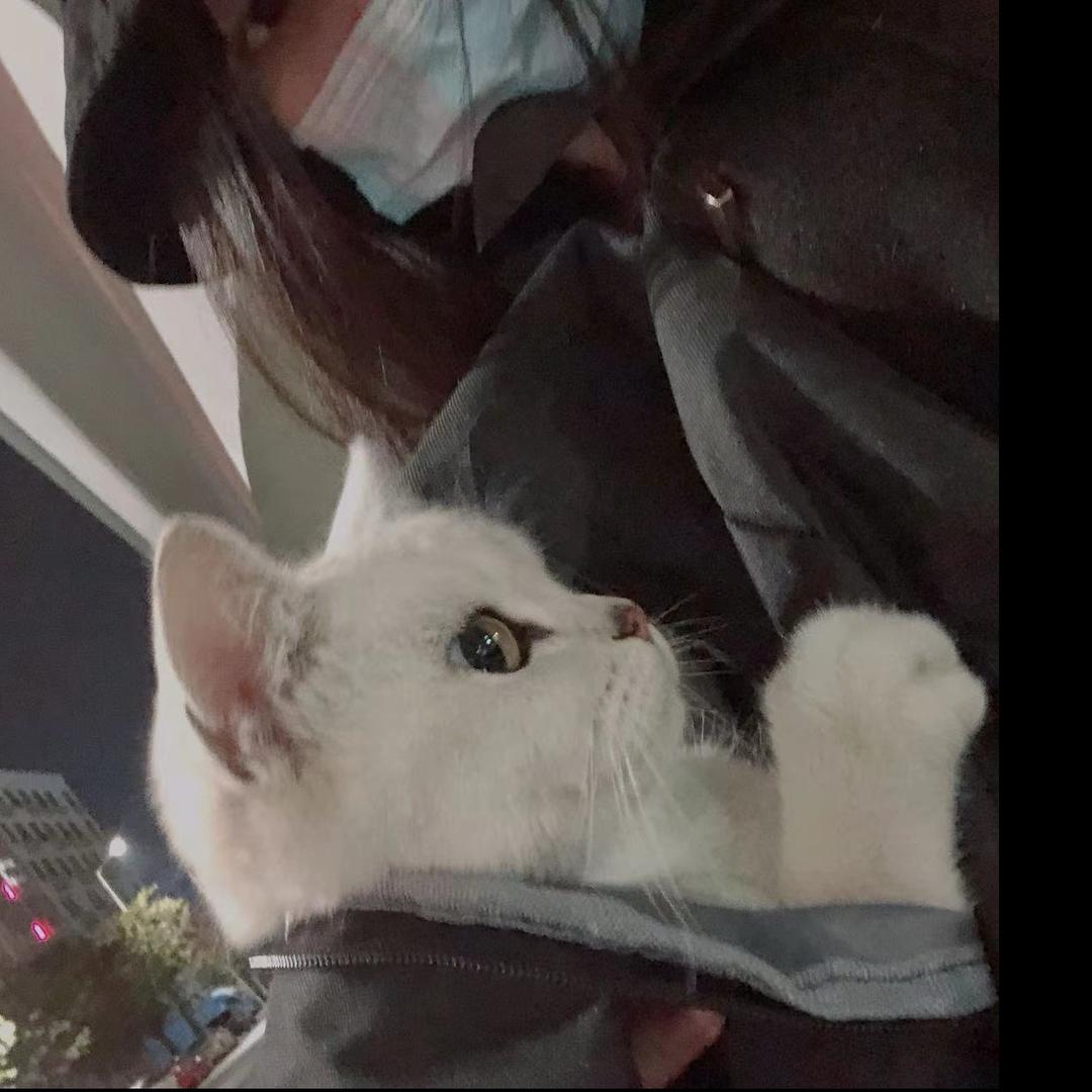 28岁的姐姐🍃🌾