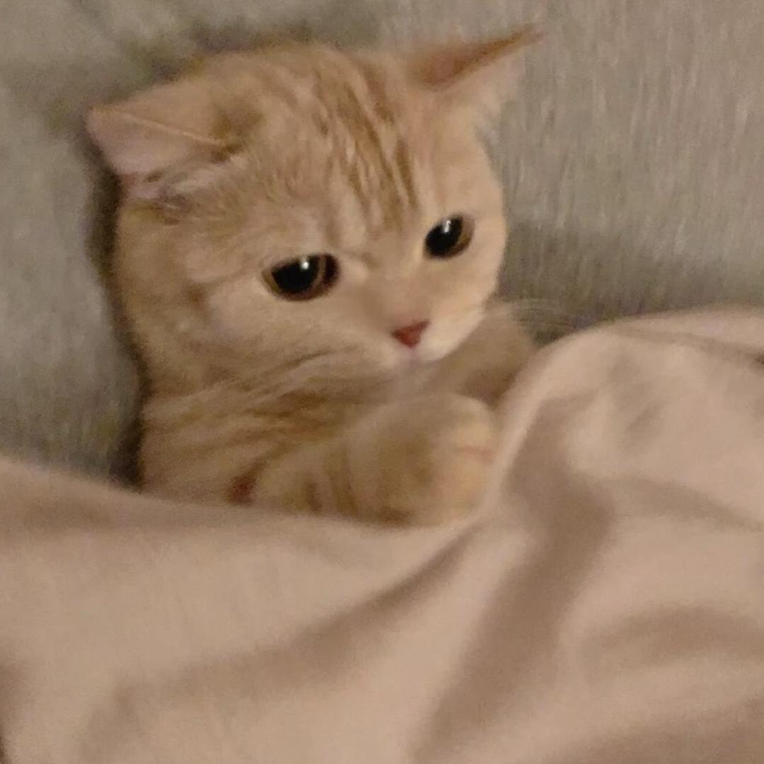 LXY