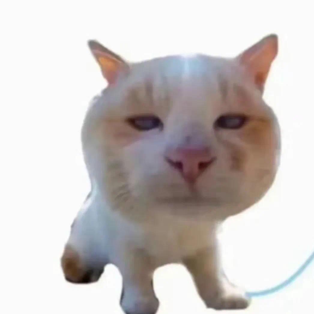 鱼蛋