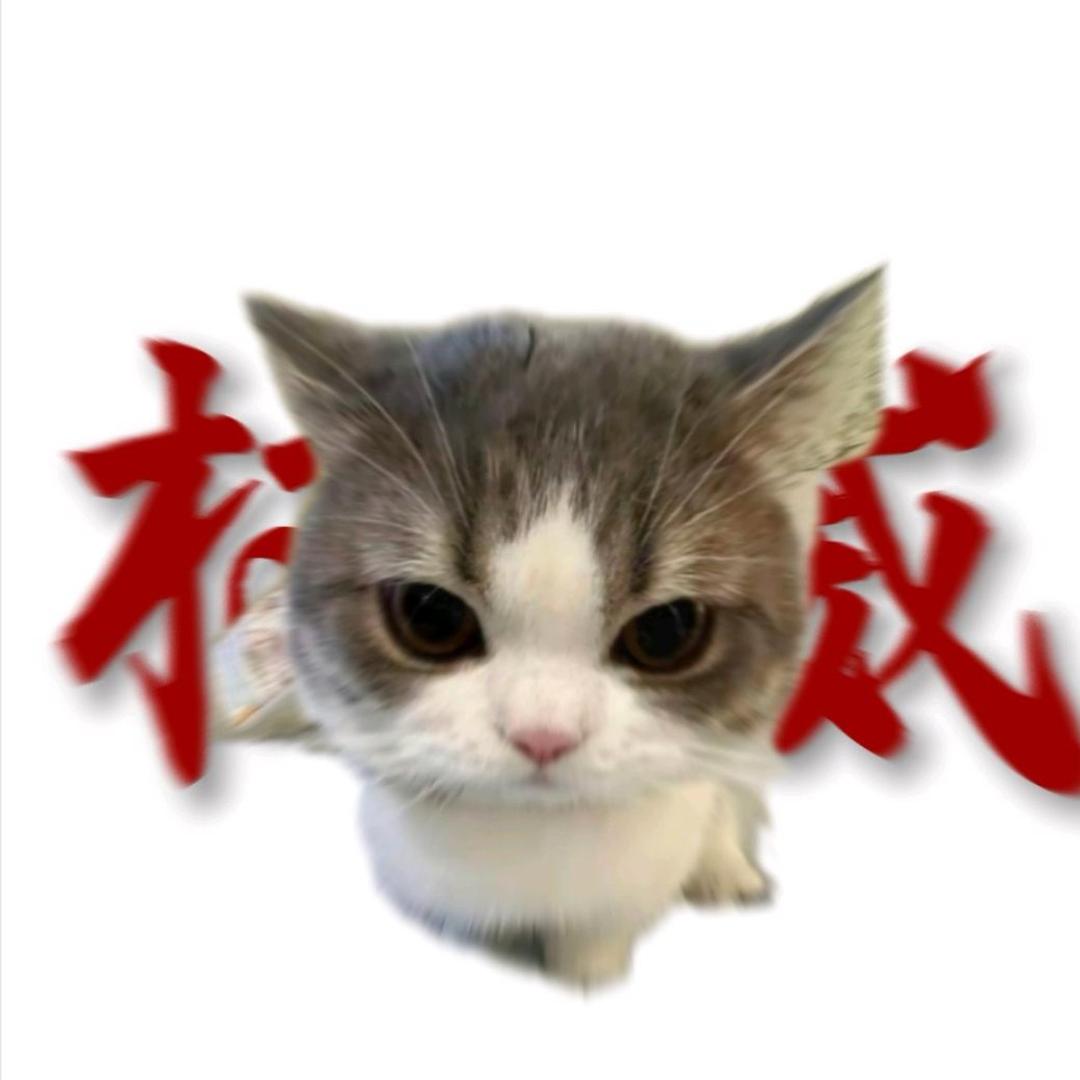 酢乙女爱