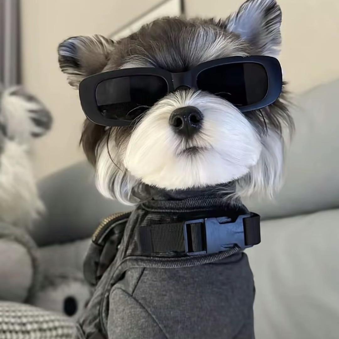 战狼-
