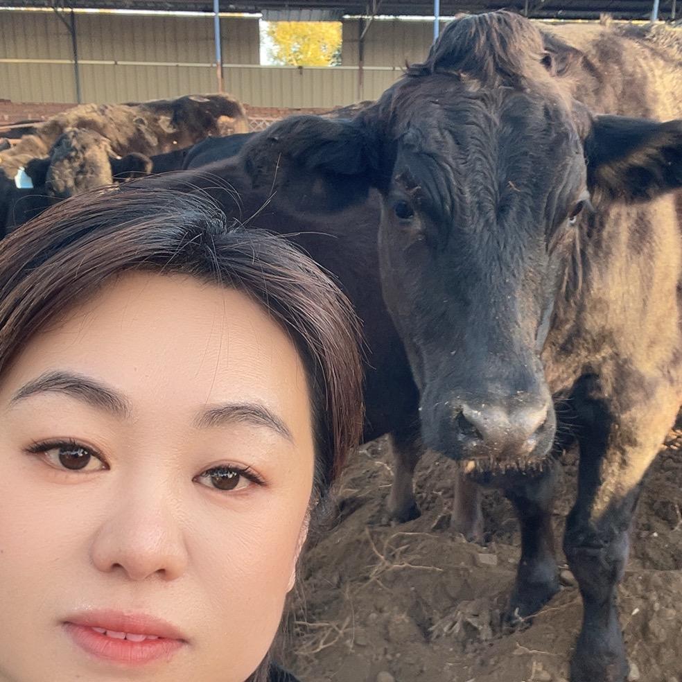 龙江牛牛jie兰大坤