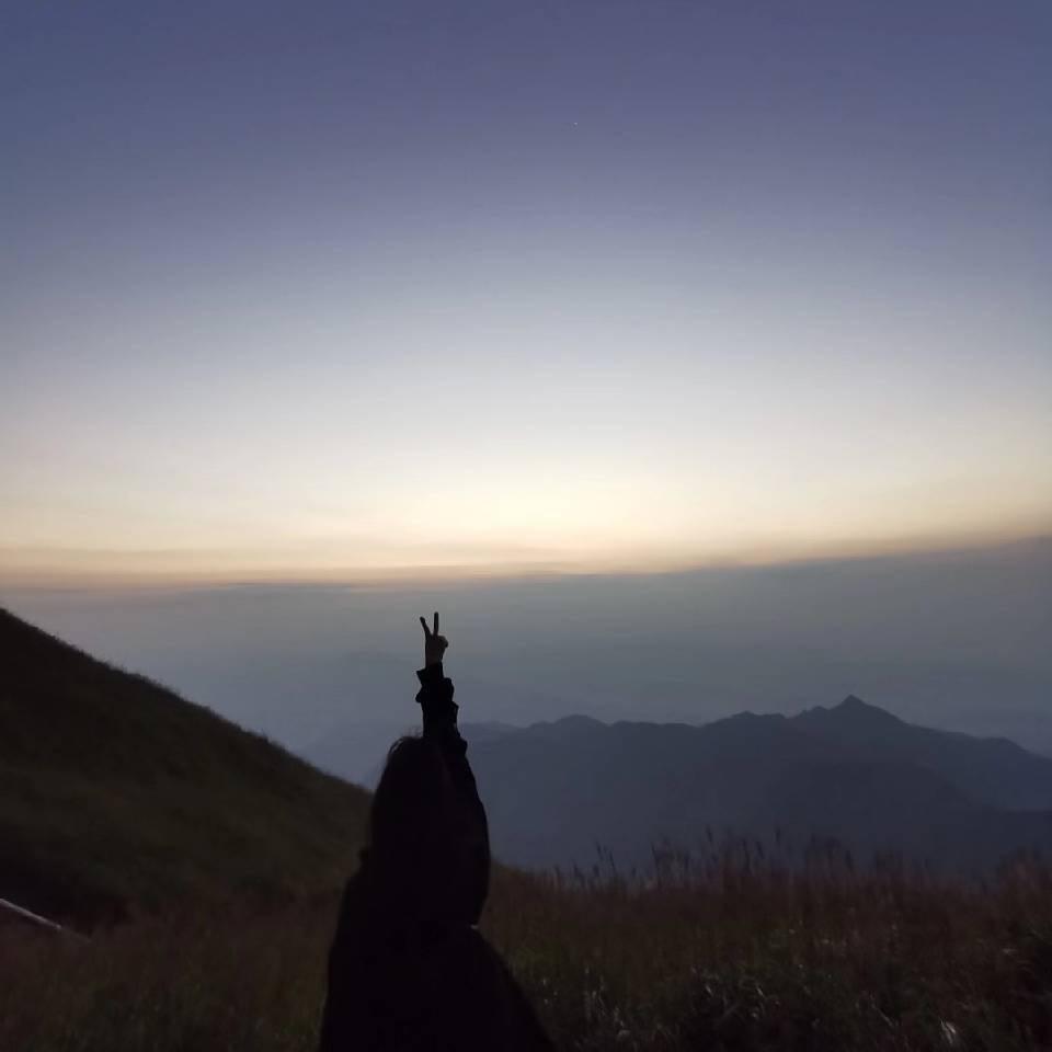 麋鹿