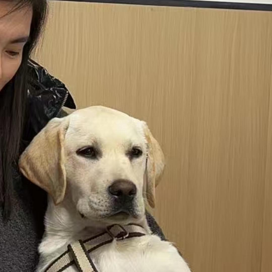 后盐家居大世界诺贝尔瓷砖小莉