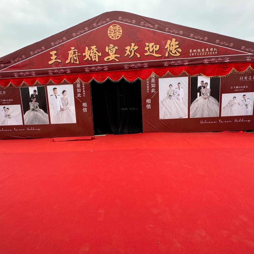 蒙城张东东团队