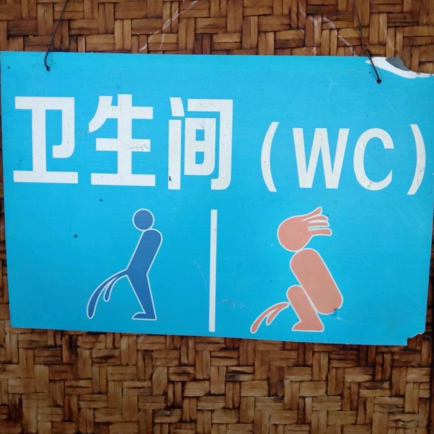 毛刚在新疆2