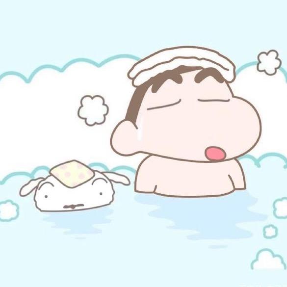 太阳羽