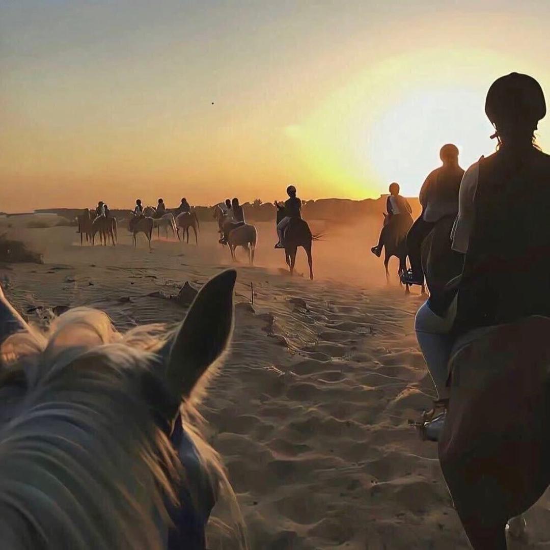 白沟新城杜黑百货店