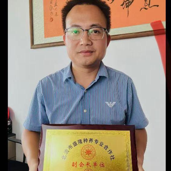莫老爷八角