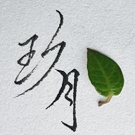 玖月手写