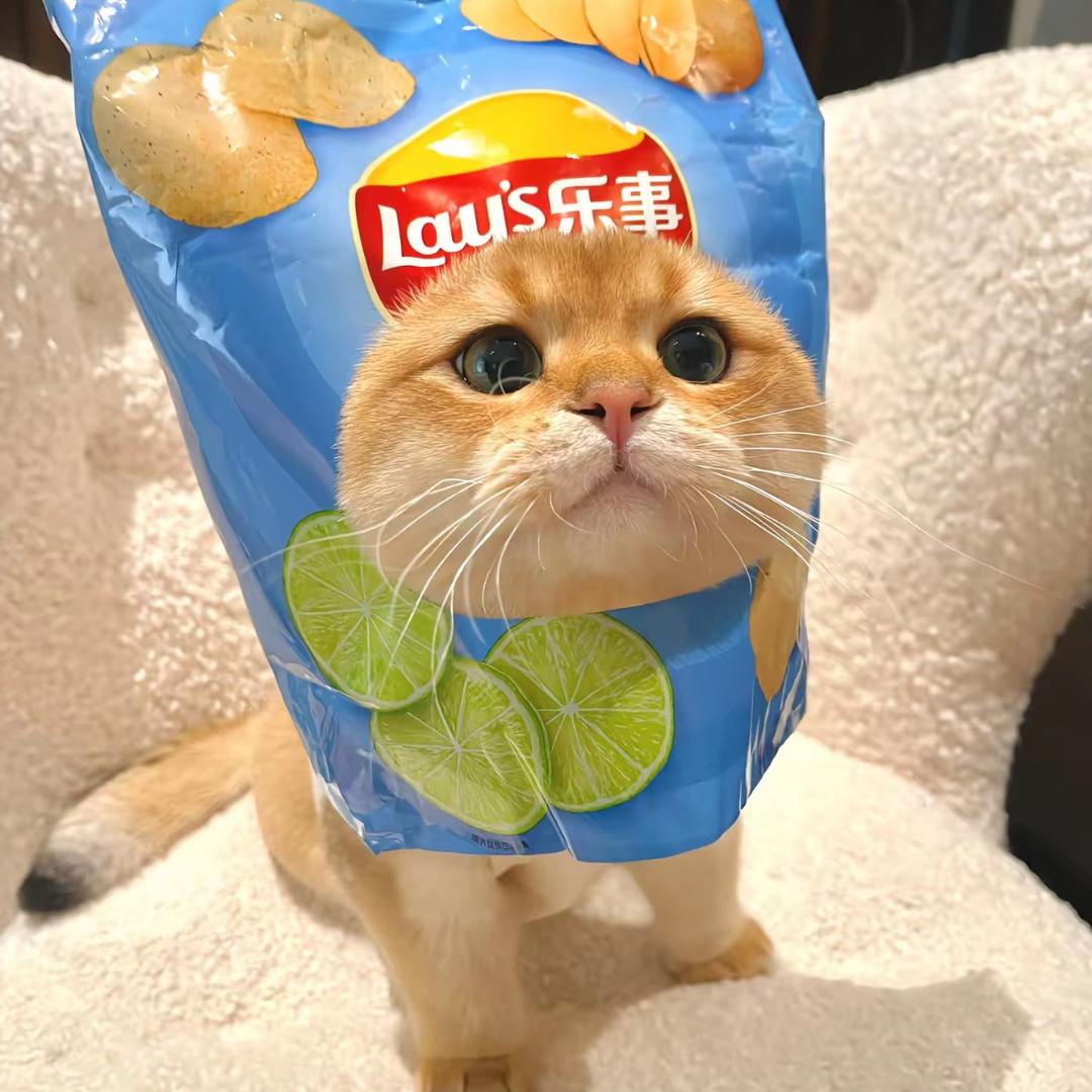 辣条不辣