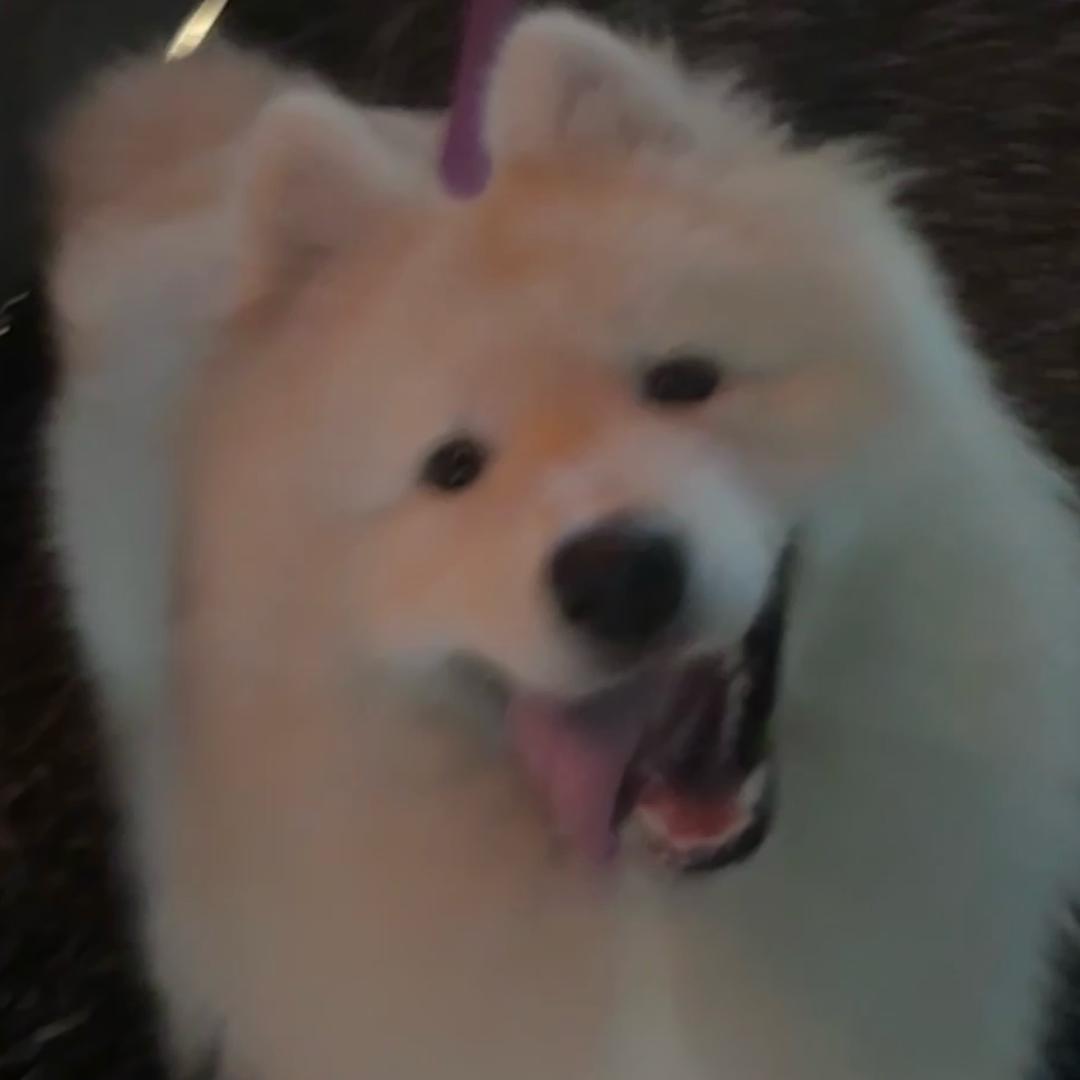 尤米^_^