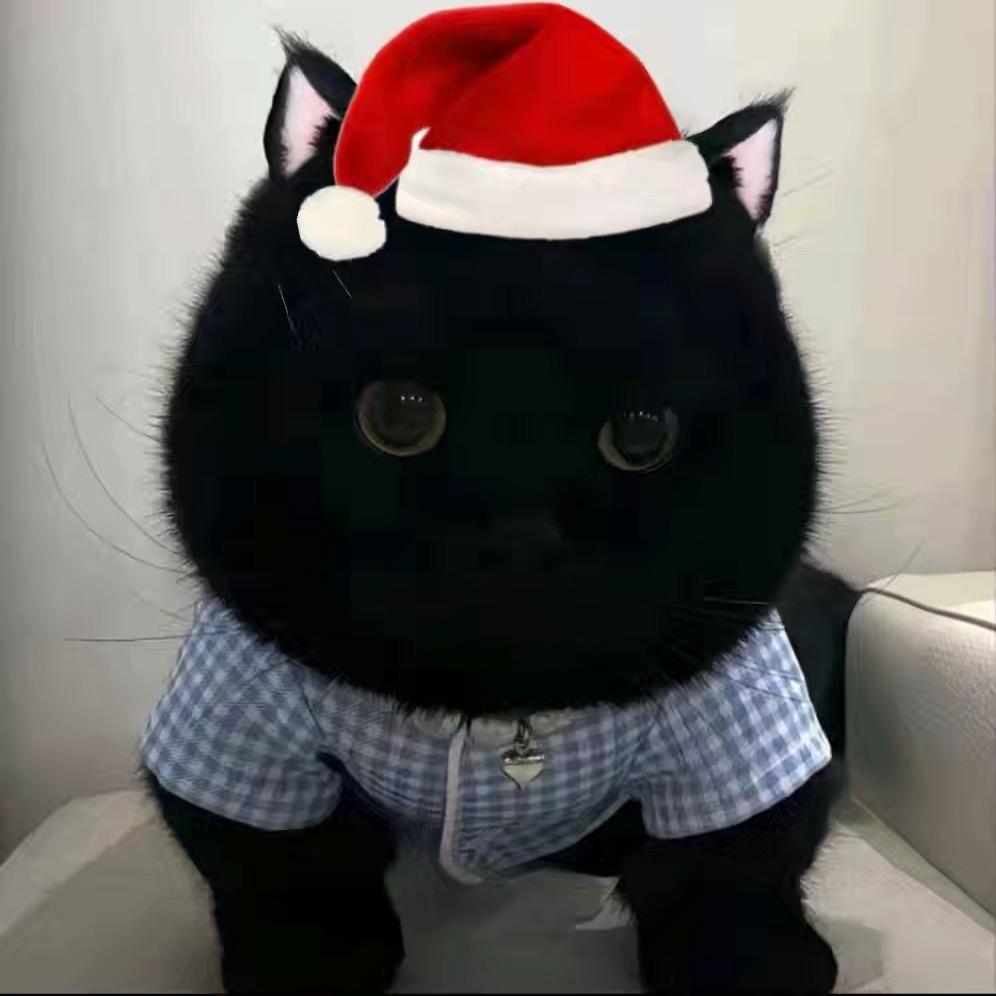 给我头像取个名