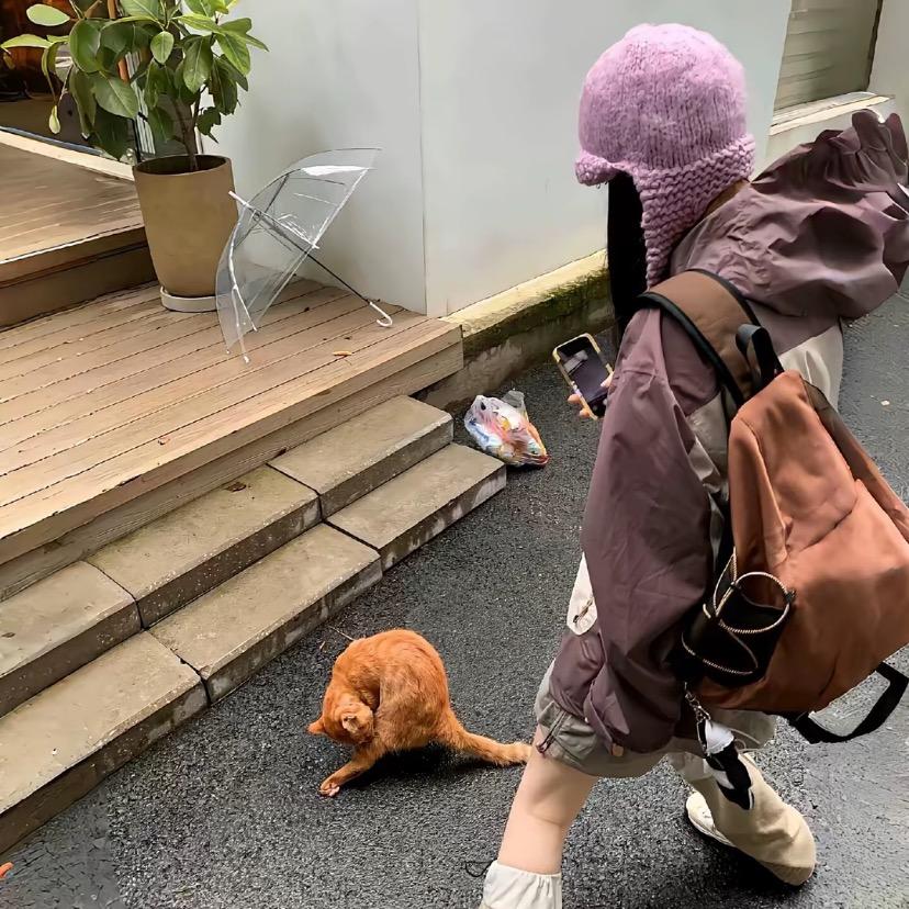 哈巴小屁桃