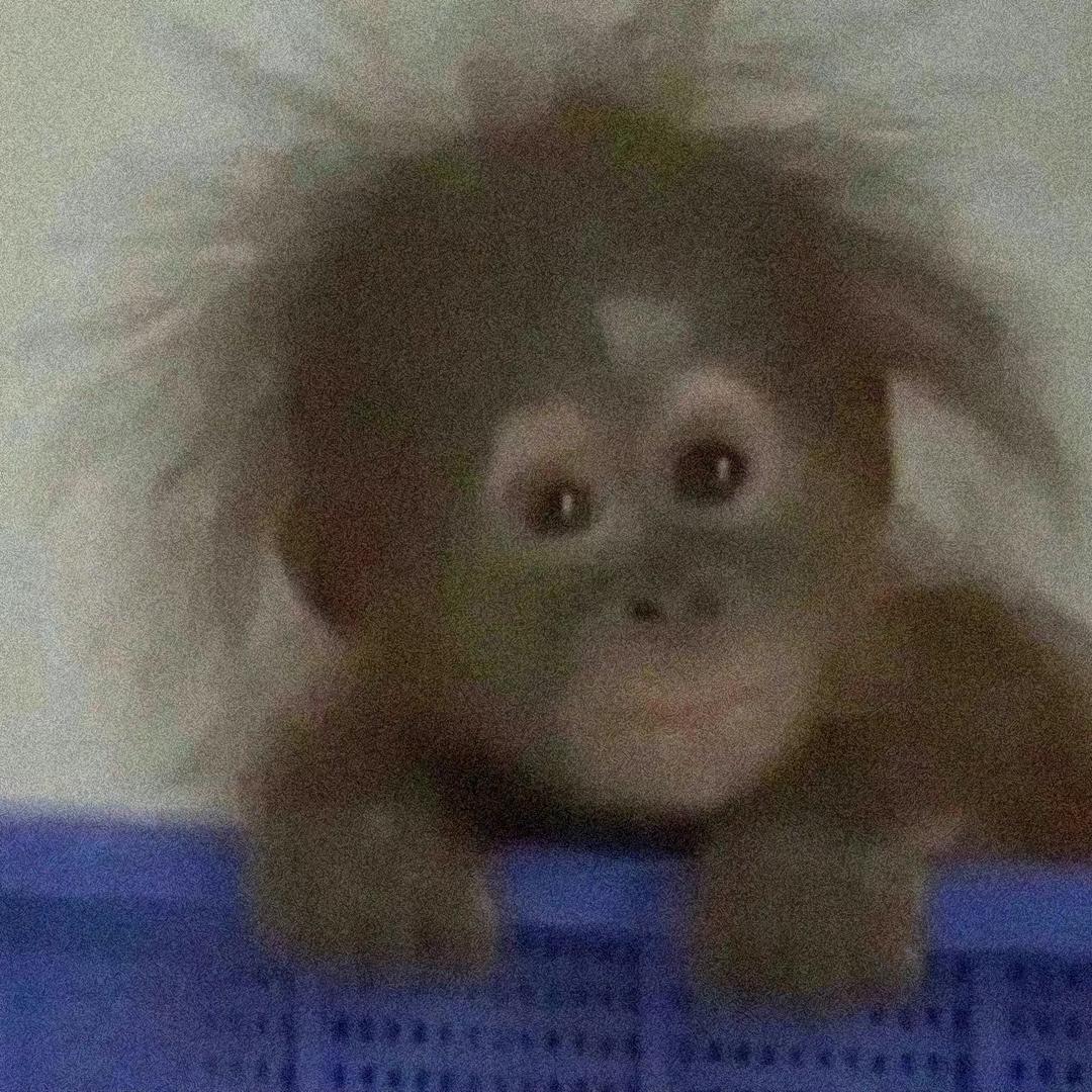 阿巴阿巴😦😦😦