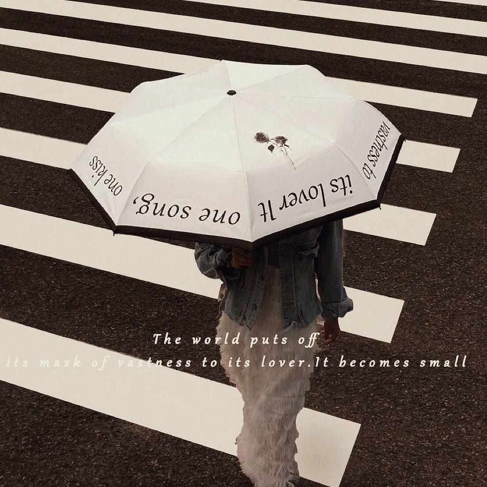FLYING精品雨伞
